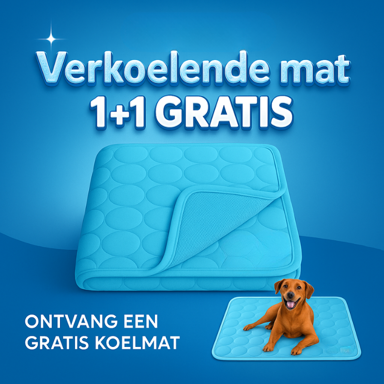 Hond in de auto? Zorg voor veiligheid met Tavo Pets | Marie Claire