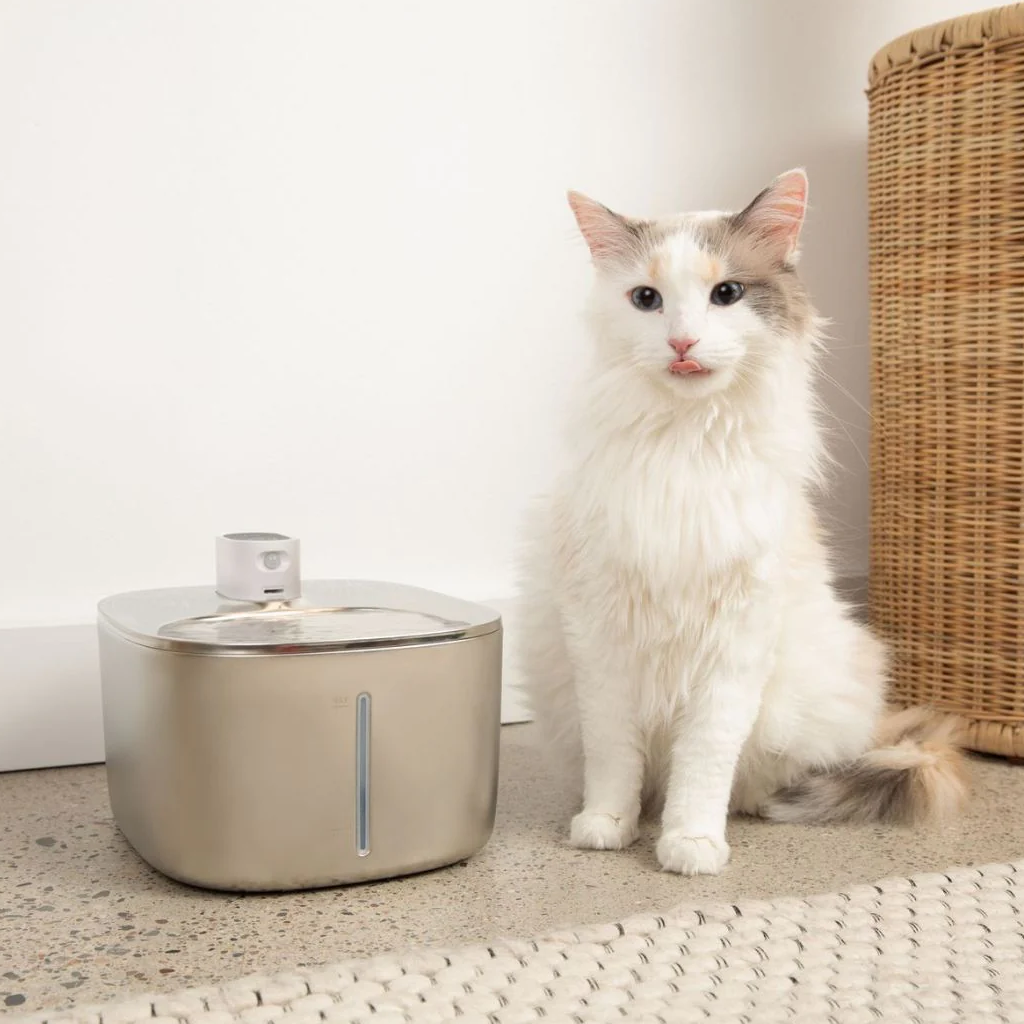 Katten drink & voerbak