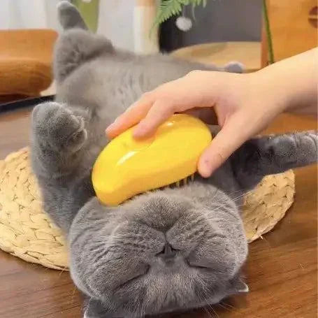 Katten verzorging