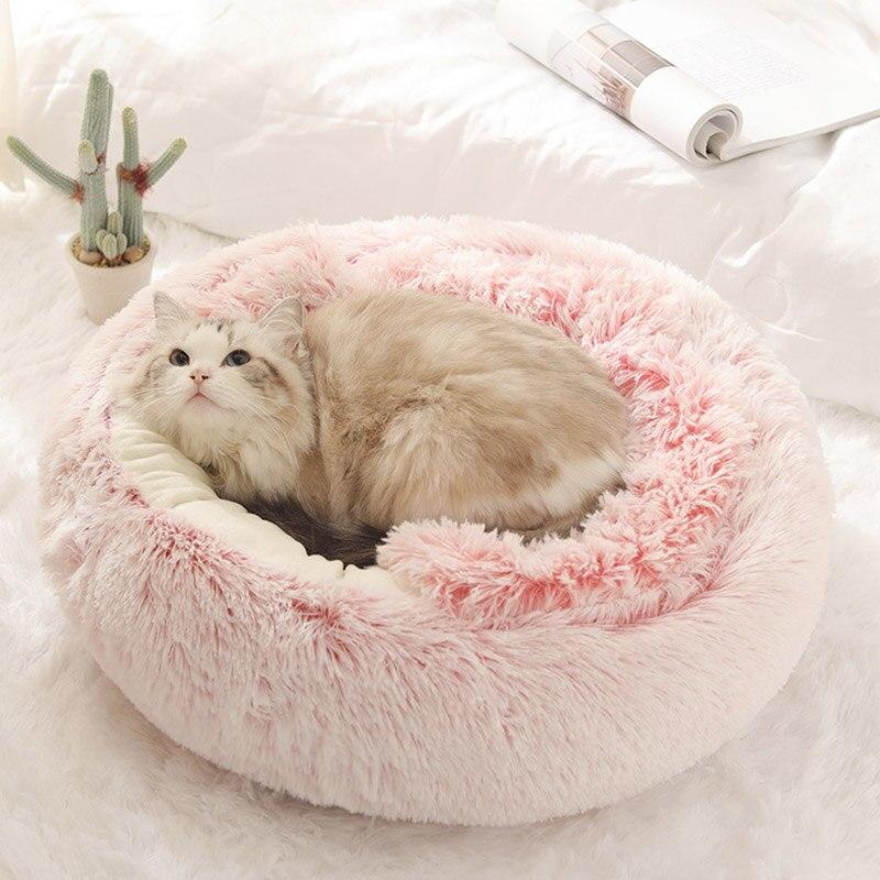 Katten manden