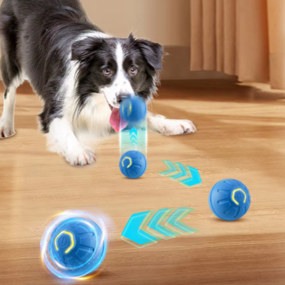 Honden speelgoed