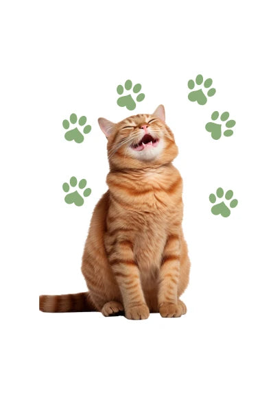 Katten