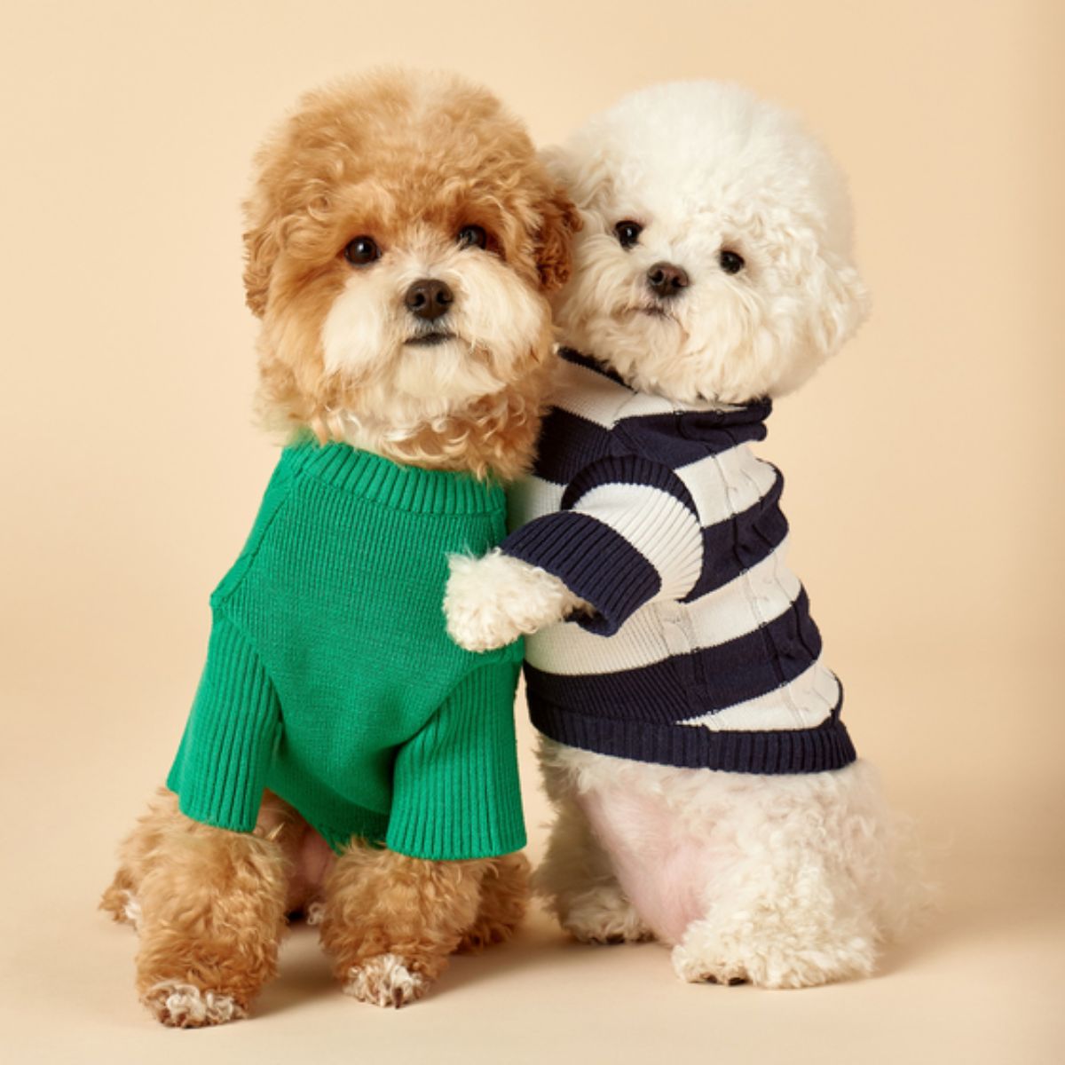 Dierenkleding