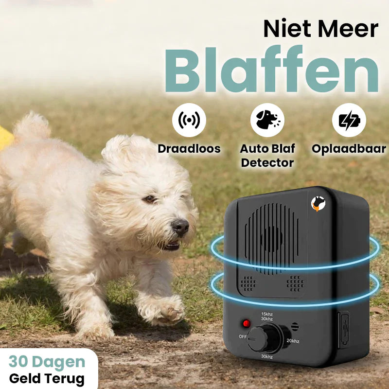01_1296x_c8901b4c-f3a3-44dc-a5e8-2ab6097a5e21.webp