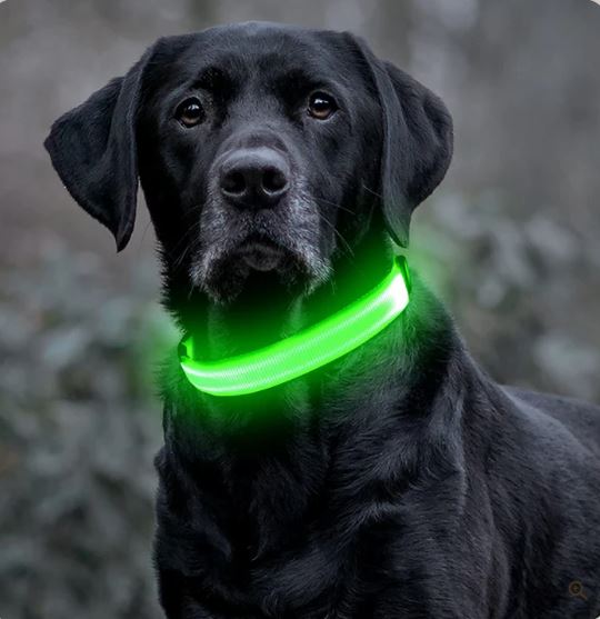 Nepfaivy Light Up Hondenhalsband - Hondenhalsband Voor De Donkere Nacht, Verstellbaar, Knipperende, Oplaadbaar, Led-Halsband Met 3 Flitsmodi, Voor Kleine, Middelgrote En Grote Honden Nepfaivy Light Up Hondenhalsband - Hondenhalsband Voor De Donkere Nacht, Verstellbaar, Knipperende, Oplaadbaar, Led-Halsband Met 3 Flitsmodi, Voor Kleine, Middelgrote En Grote Honden