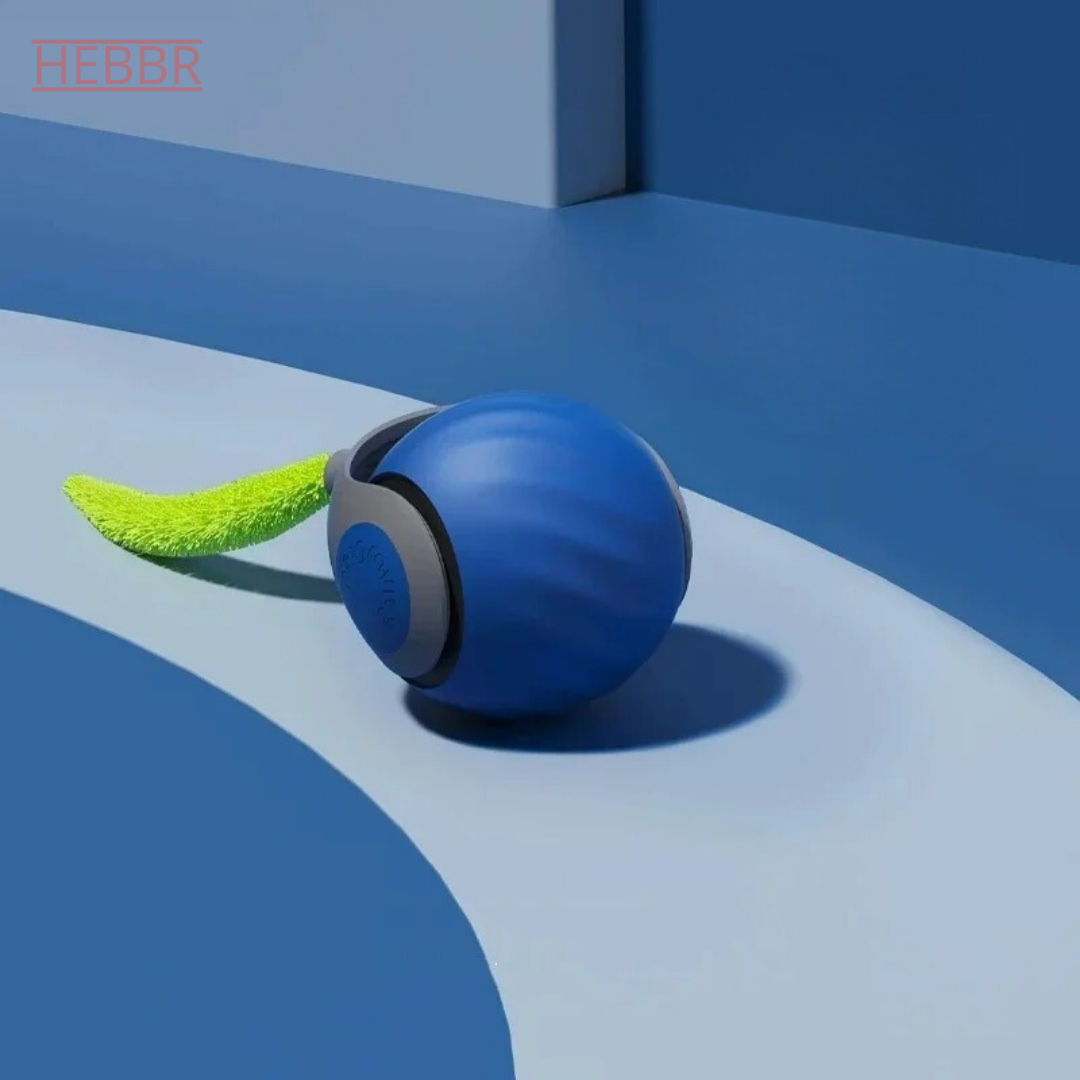 1_beec3c03-54e6-49ad-9fc9-0c26f37cac62.png