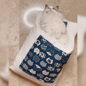 8c3e13b6fa7854fc80ae41bed716534e.gif