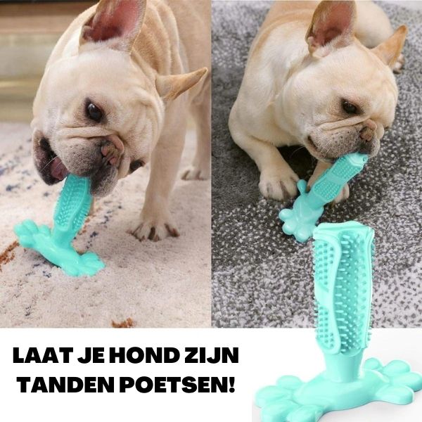BEadjustements2_5.jpg