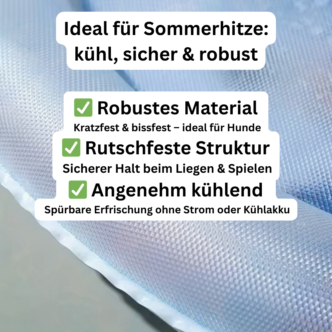 Bilder-2025-06-25T193939.539.png