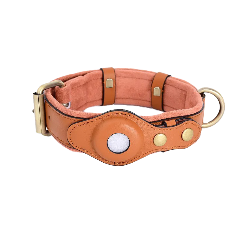 Bruin_7db5f9c9-c976-4978-9c89-4a34bbe2cdf4.png
