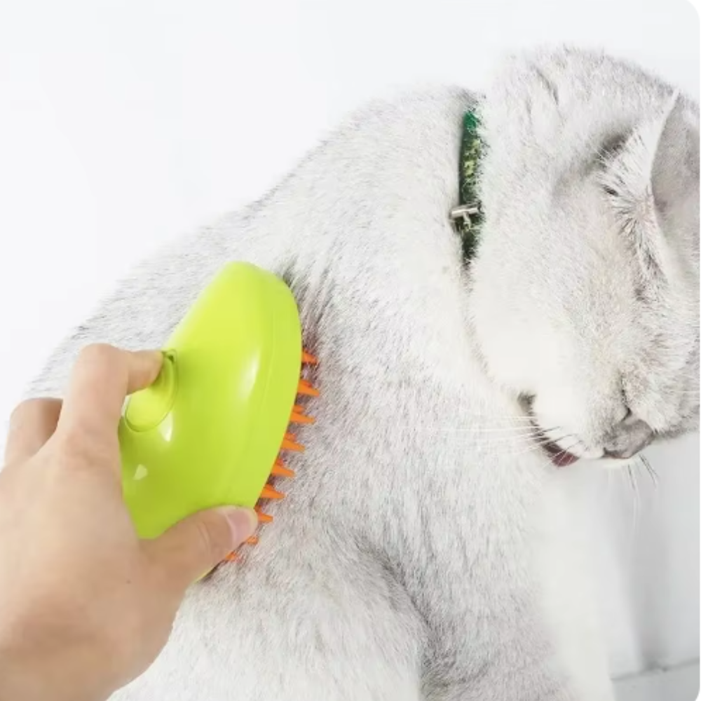 Cat_Brush.png