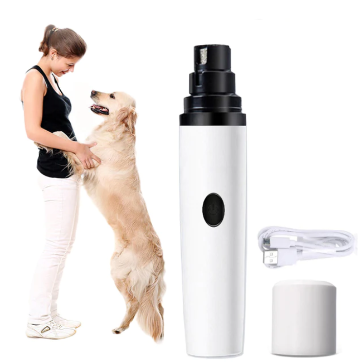 DOG.png