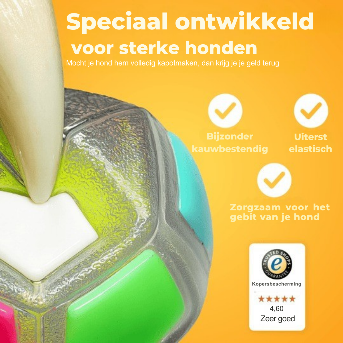 Dutch_Dutch_3_6be8db74-a2f9-439c-aa26-8b131fd9527f.png
