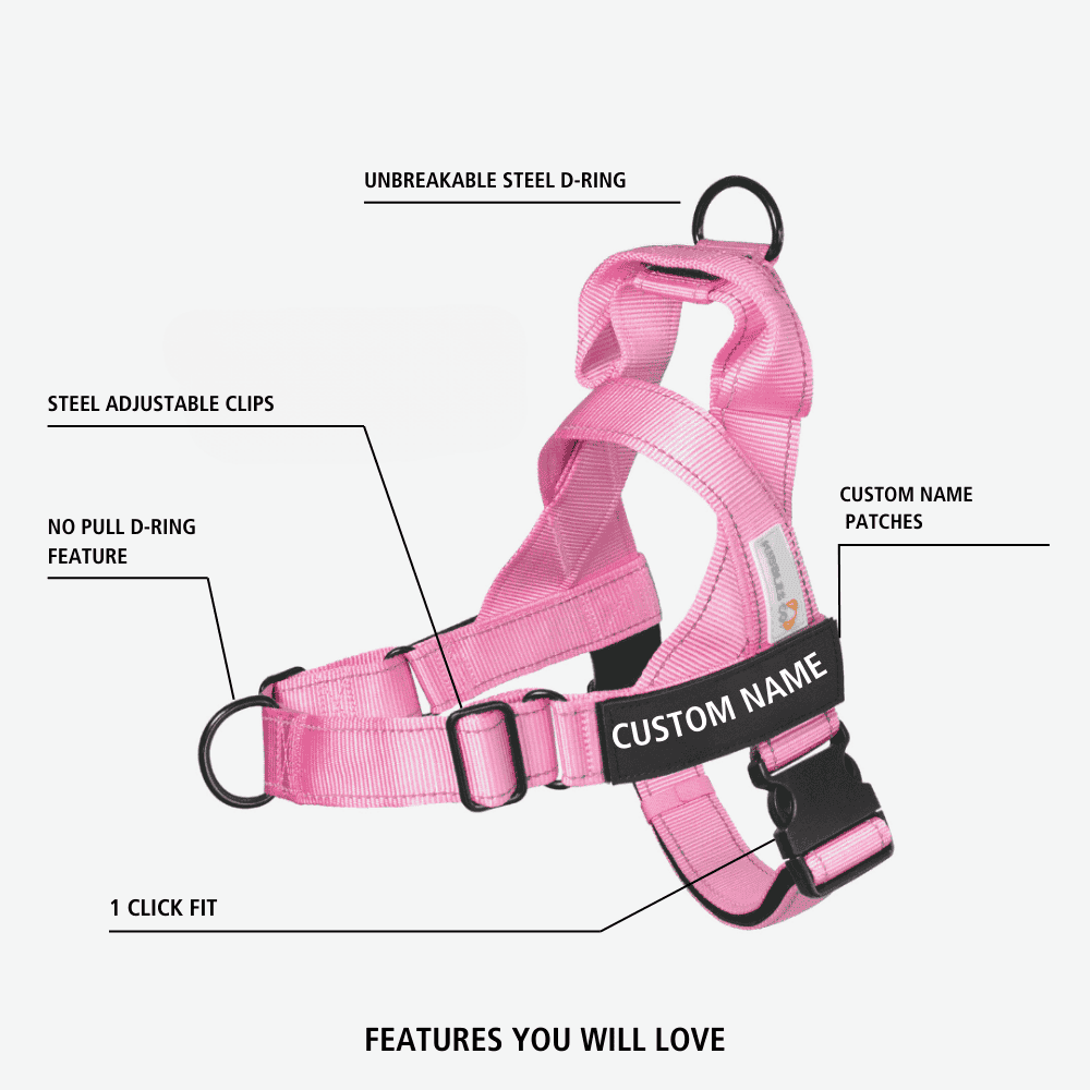 No Pull Harness & Leash Set