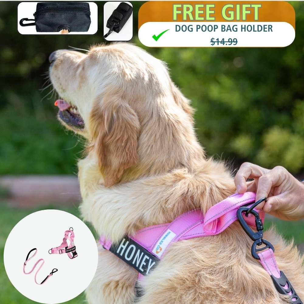 No Pull Harness & Leash Set