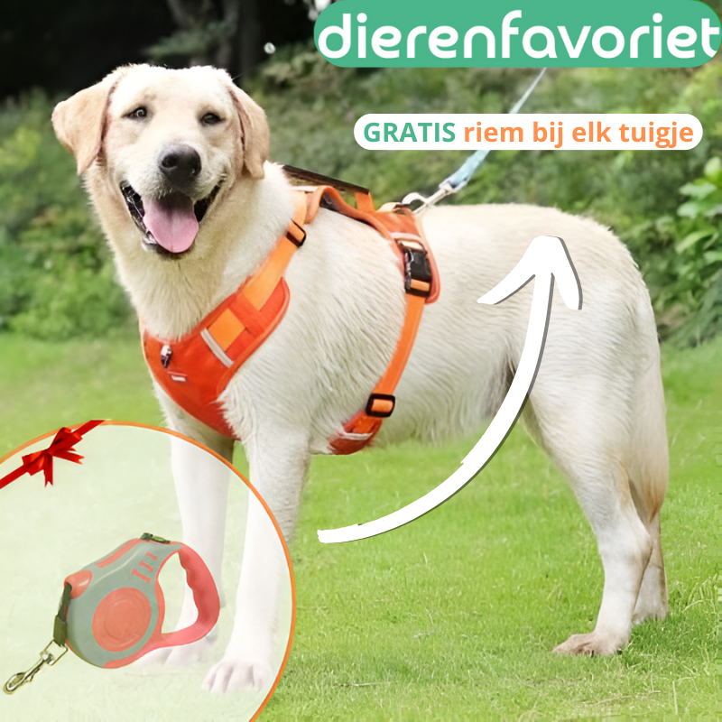 GRATIS_bij_elk_tuigje.png