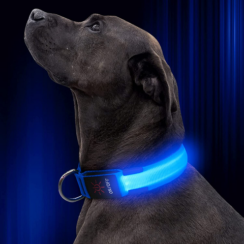 BrightPaw™ - Oplaadbare LED halsband voor veiligheid