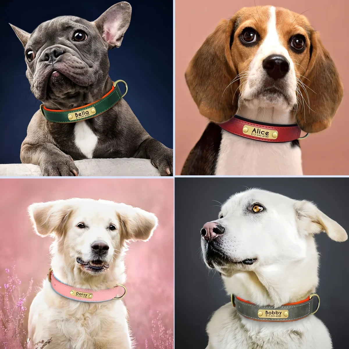 IDPaw_honden_40182e13-e776-404e-b966-454a639e825e.webp