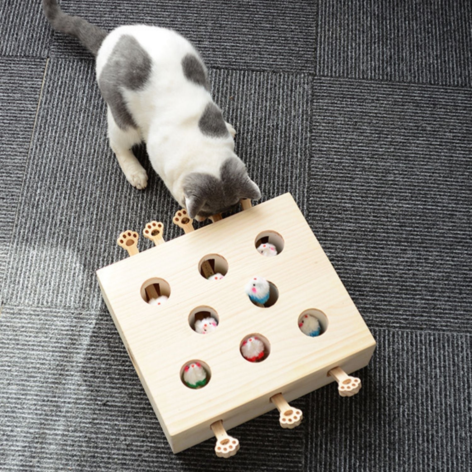 Interactief-Kat-Speelgoed-kat-bekijkt-speelgoed-met-gaten.jpg