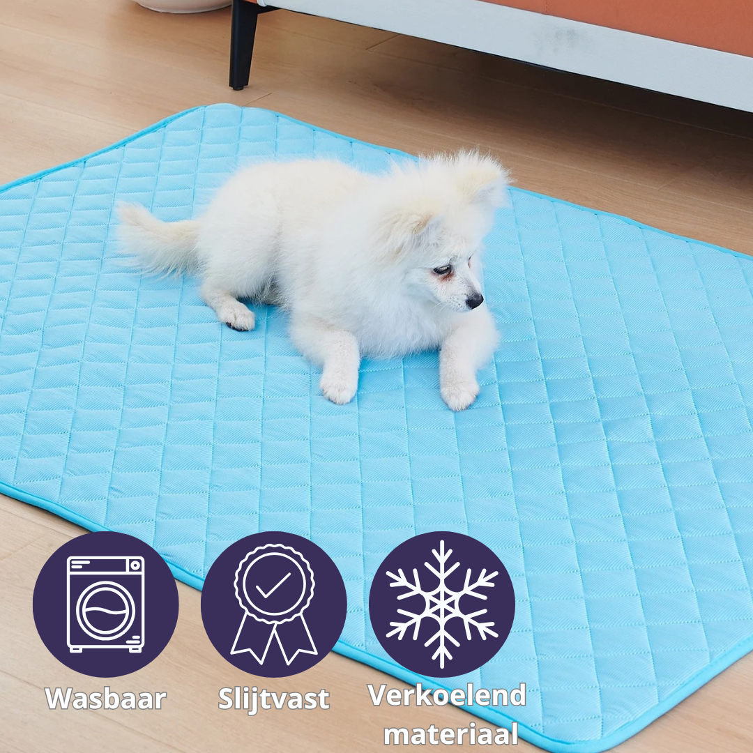 Honden Koelmat – Verkoeling op Warmere Dagen | 1+1 GRATIS