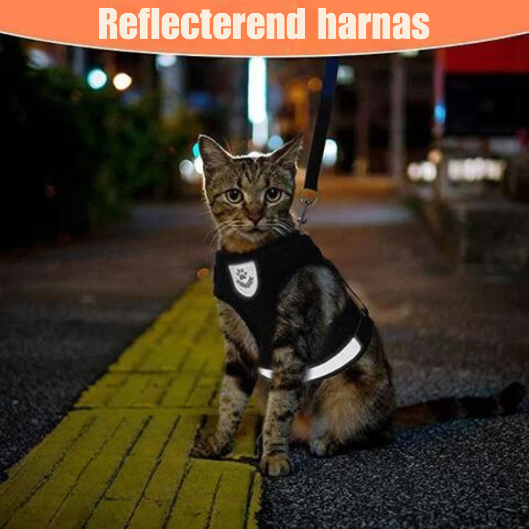 ReflectiveHarness.png