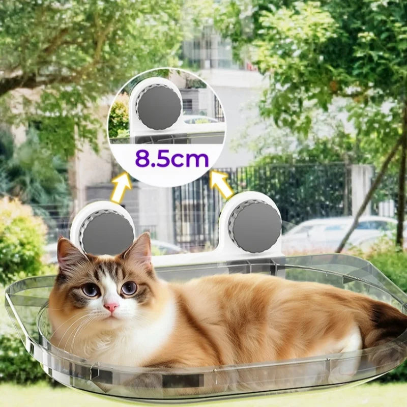 S0501210e110348e38e73e5e67e44bcb56.webp