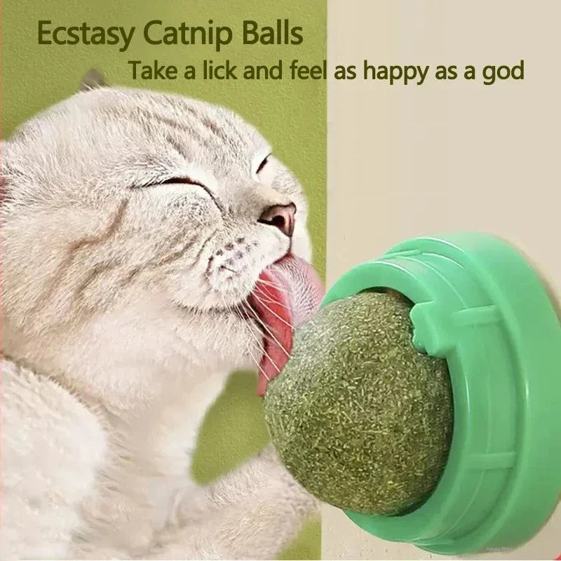 S2f1c53b19e6f4d16b6f0cde02ddc93df9.webp