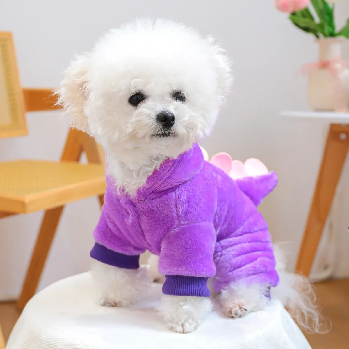 S790534e66f414b28b105892d90dcfac06.webp