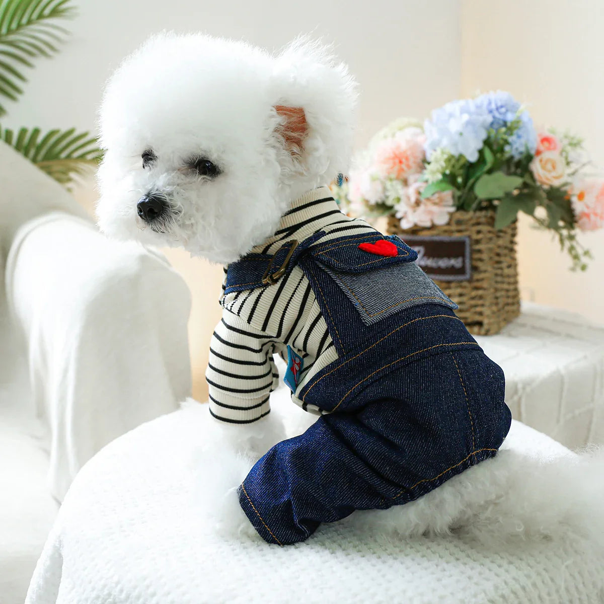 S95f01454f764487fa96a0b2c4961a9caS.webp