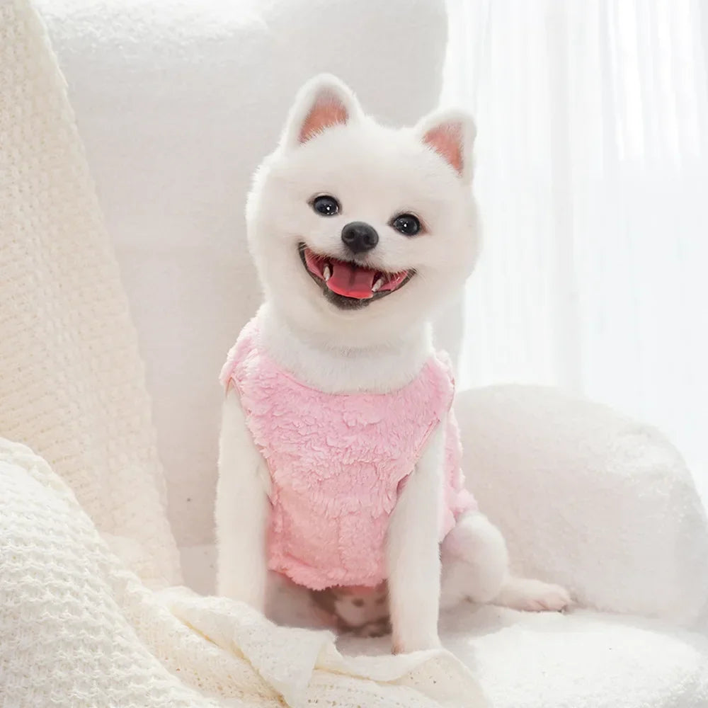 Sd815506f04224384809e60ef52649f9bt.webp