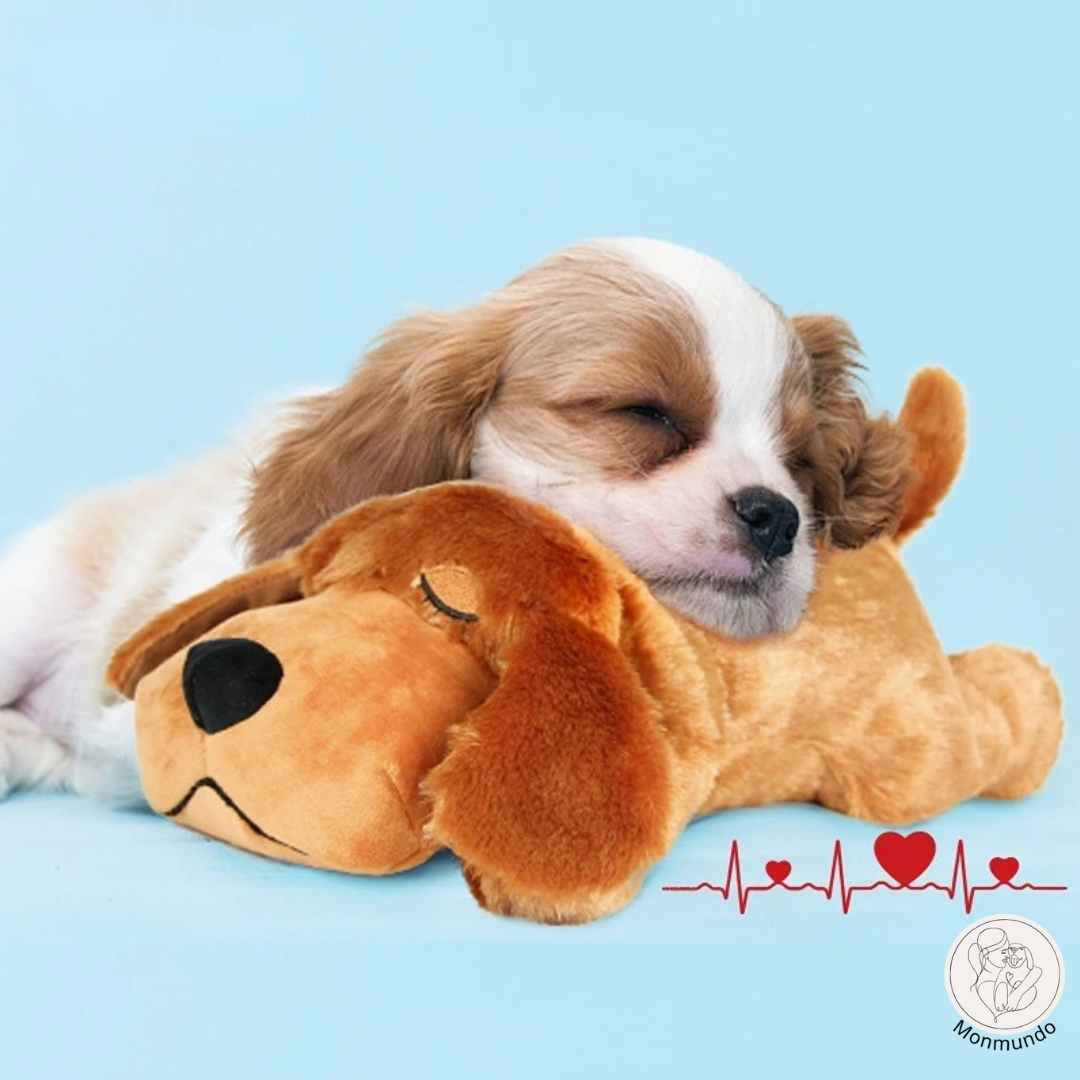 SnuggleBuddymetpup.png