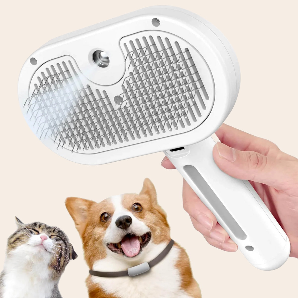 Thumbnail_9f441bec-b55d-4fe1-bb25-106521d327b4.jpg