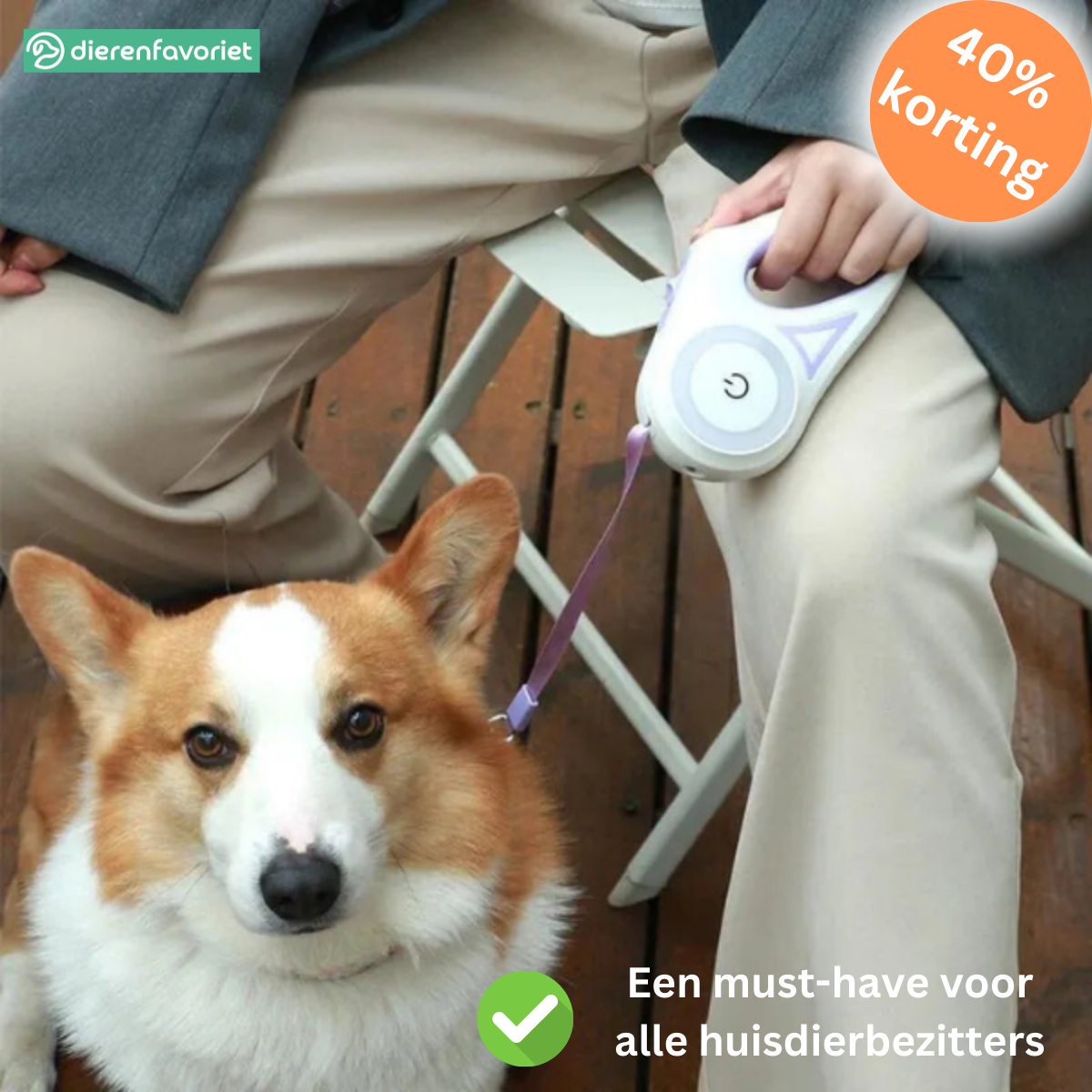 PawGlow™ |  Licht in de duisternis: veilig op pad, samen stralend!