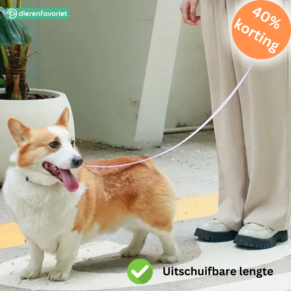 PawGlow™ |  Licht in de duisternis: veilig op pad, samen stralend!