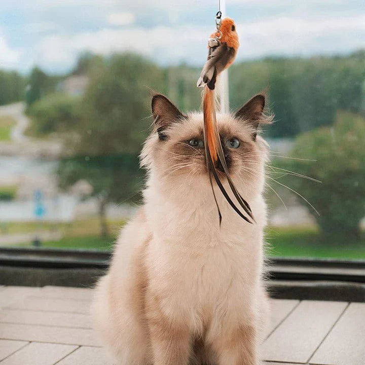 Vogeltje1.webp