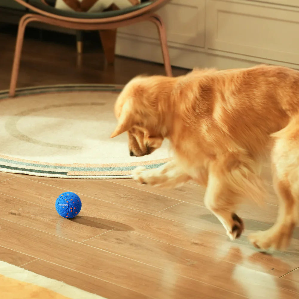 Wicked_Ball_Air_royal_blue_2.webp