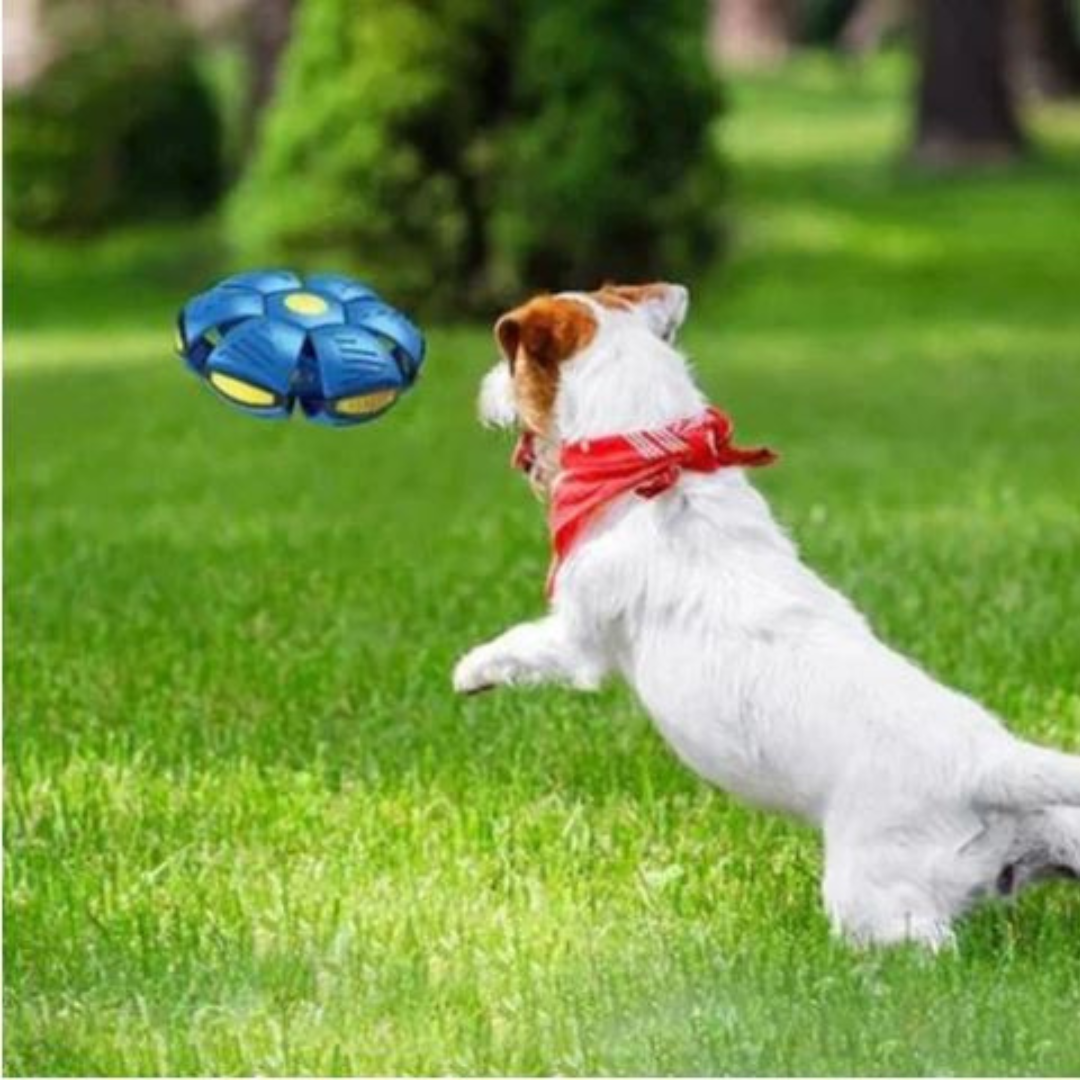 ball_10.png