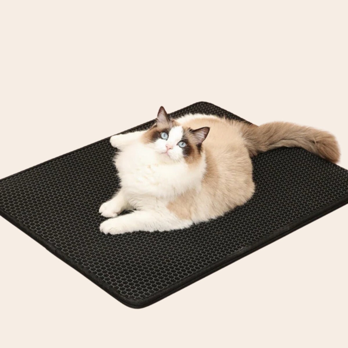 charmpaws-xl-kattenbak-mat-962459.jpg