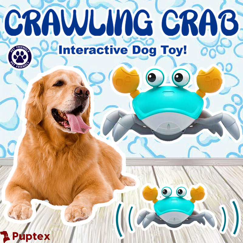 crawling-crab_aa37c944-eea6-464f-94d0-6f48a5fd0815.jpg