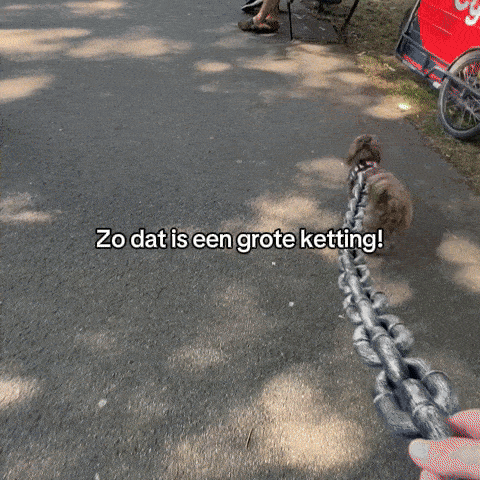 damndatiseengroteketting-ezgif.com-optimize_0dcaa267-7f55-45e9-9d12-63702d71f933.gif