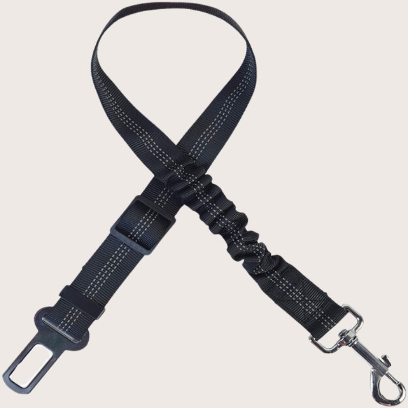 gentle-paws-cat-adjustable-car-seatbelt-442329.jpg