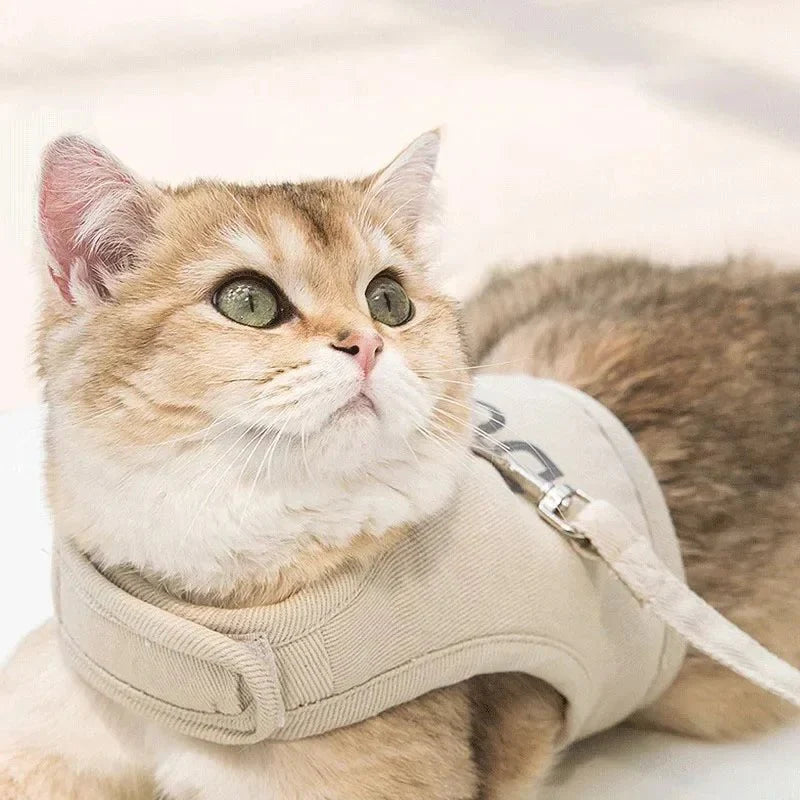 gentle-paws-cat-harness-and-leash-347267.webp