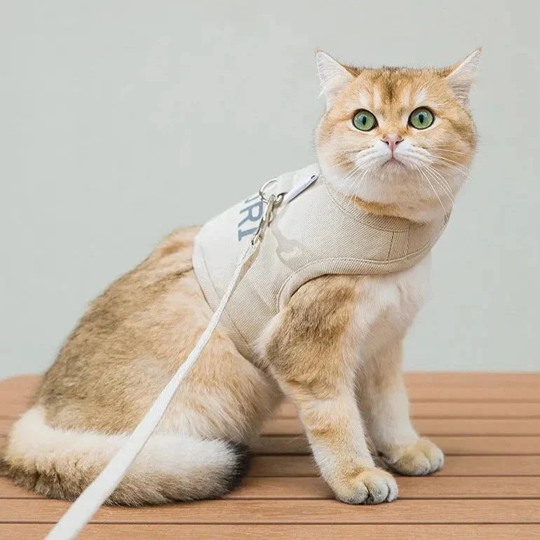 gentle-paws-cat-harness-and-leash-357945.webp