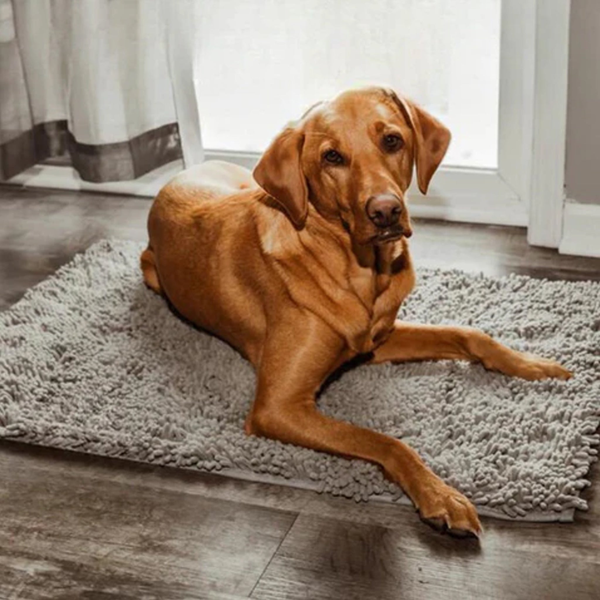 Color G Dirt Trapper Door Mat, 50x80cm, Non Slip Indoor Door Mats, Machine Washable Soft Floor Mat, Super Absorbent Door Mat for Front Back Door Pets Dogs - Grey Color G Dirt Trapper Door Mat, 50x80cm, Non Slip Indoor Door Mats, Machine Washable Soft Floor Mat, Super Absorbent Door Mat for Front Back Door Pets Dogs - Grey