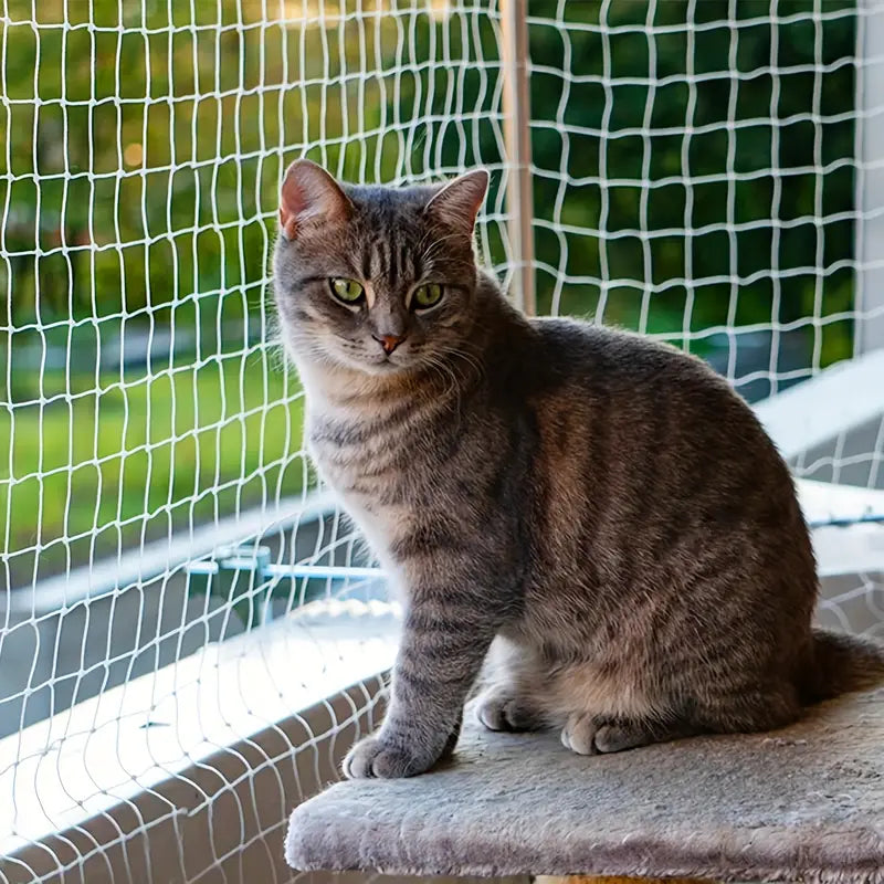kattnatmiljobild.webp