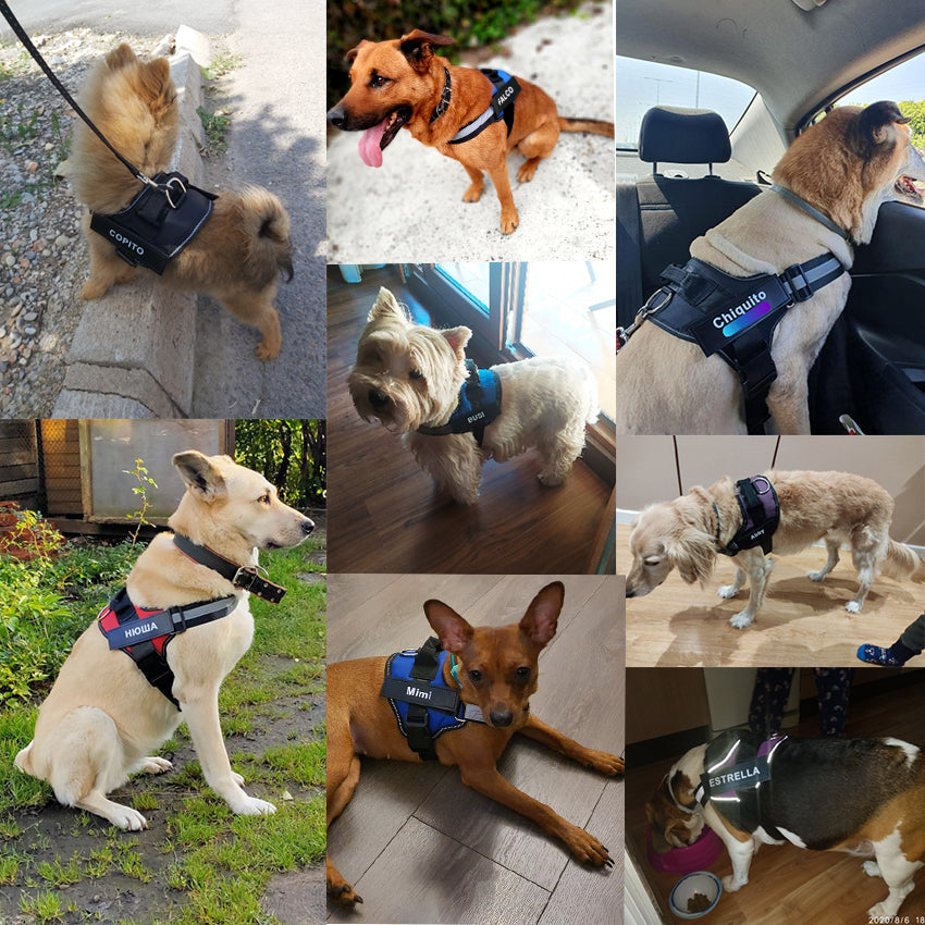 mainimage3Dog-Harness-NO-PULL-Reflective-Breathable-Adjustable-Pet-Harness-Vest-with-ID-Custom-Patch-Outdoor-Walking_1.jpg