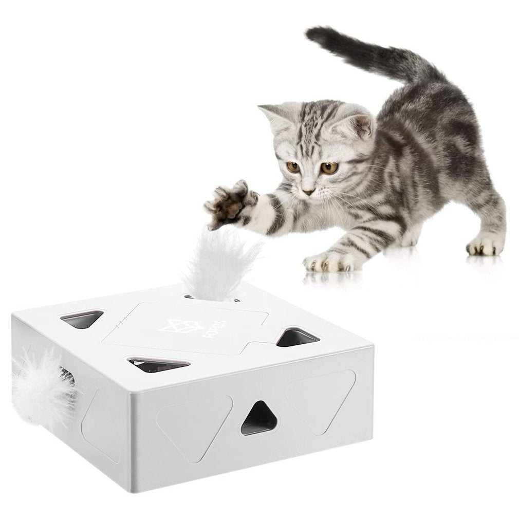 product-image-1854944602.jpg